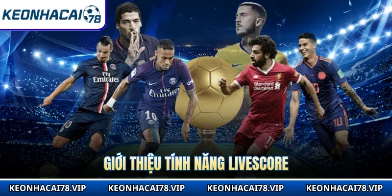 Giới thiệu tính năng Livescore